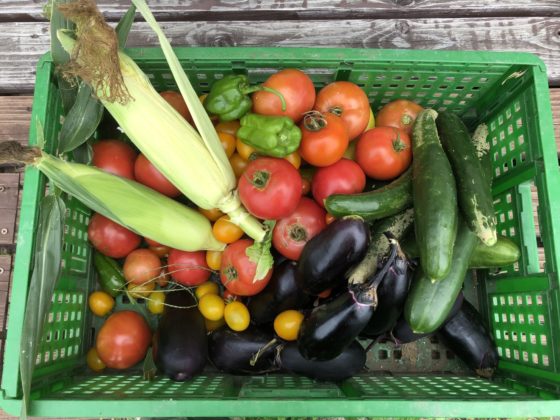 里山ボランティアサークル洞楽村