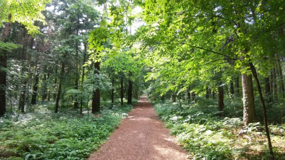 植物セラピーサークル檜の芽
